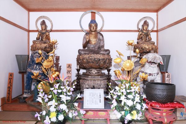 市内に鎮座する有形文化財、ここにあり。